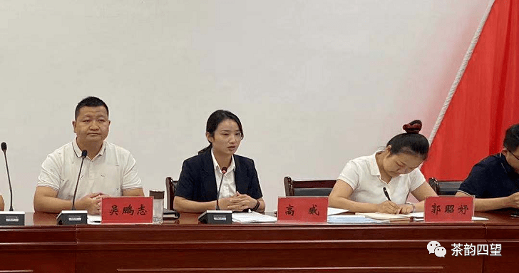 随后,镇党委书记高威围绕提高站位强认识,廉洁从政强修养,严格自律强