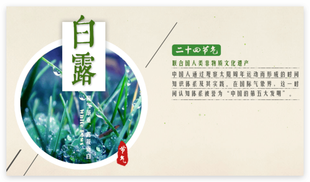 二十四节气|"白露"三候知多少?从生态环境移动"晴雨表"的鸟类看环保!