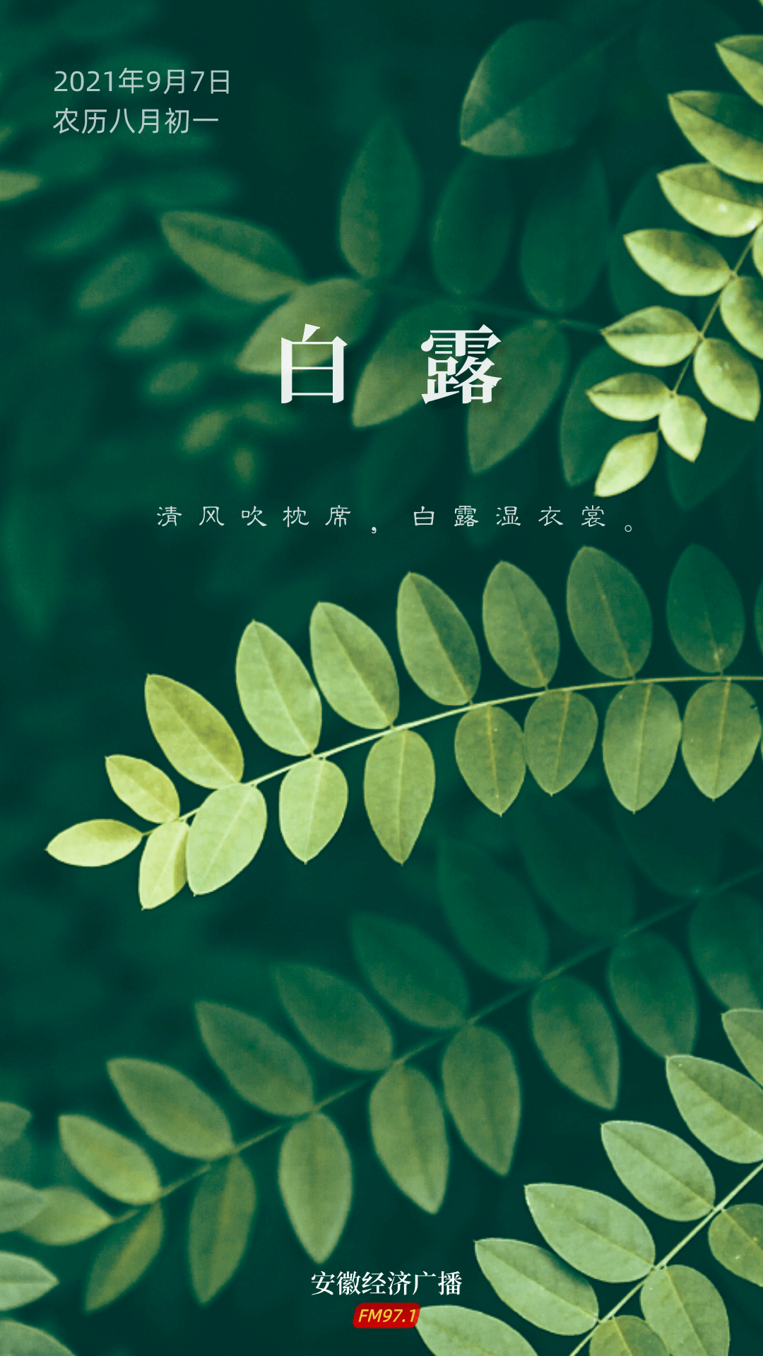 节气与养生白露