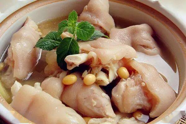 猪脚炖什么最补最好 2c3ba4f81c4a4c44971f9c3ffb6fdef5.jpeg