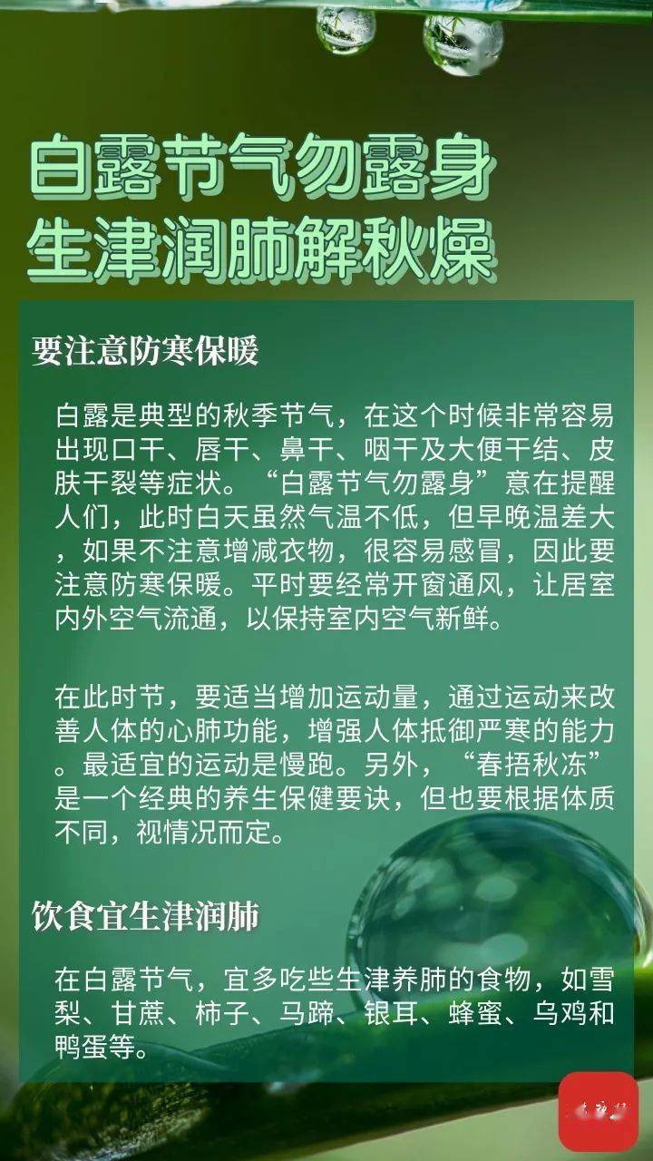 第二医院|今日白露 | 凉风至，白露降，生津润肺防寒凉