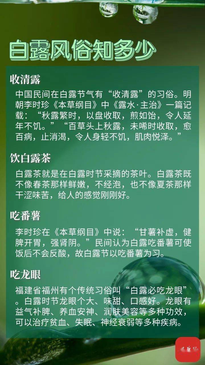 第二医院|今日白露 | 凉风至，白露降，生津润肺防寒凉