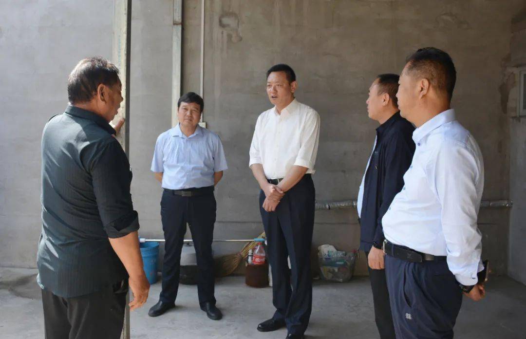 安奇调研农村生活污水处理工作