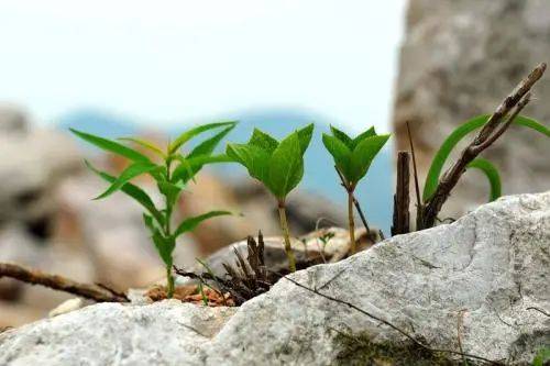 邢益凡|体重18公斤大学新生的幸与不幸