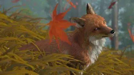 《对马岛之魂》导演剪辑版的狐狸变得更可爱了 