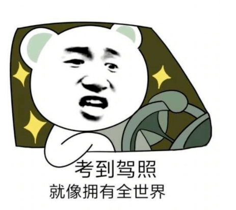 潍坊驾校排名_山东潍坊驾校图片(3)