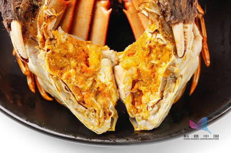 寄生虫|刚死的螃蟹能吃吗？哪些部位不能吃？误食后果很严重……