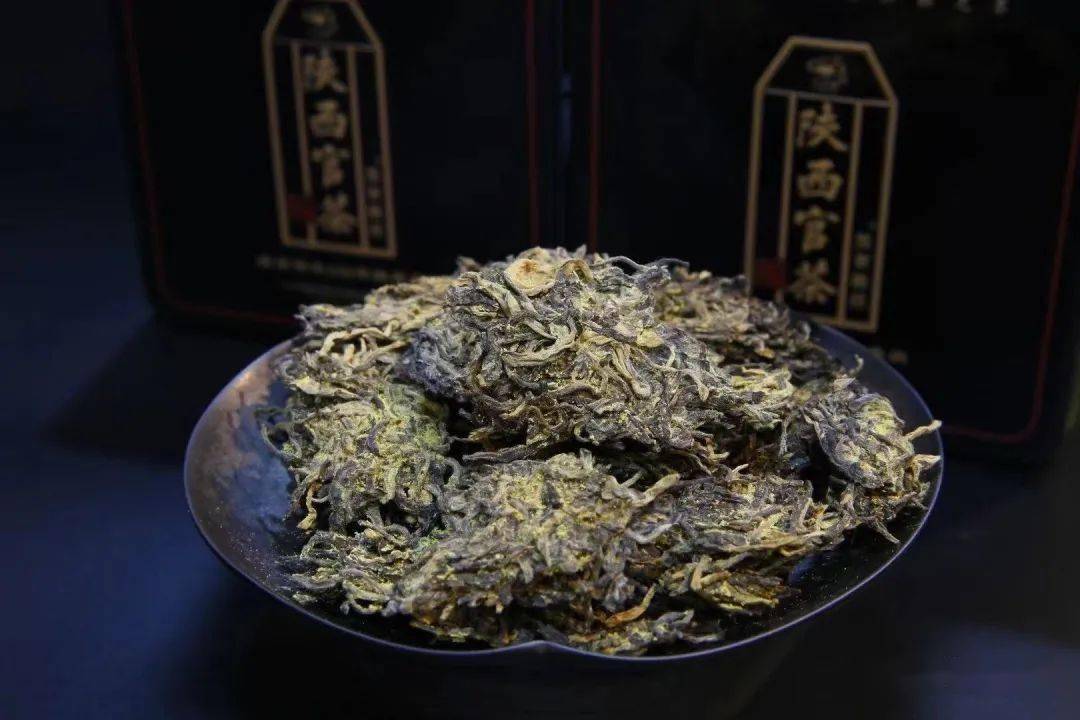 明日劇透咸陽茯茶歷久彌香