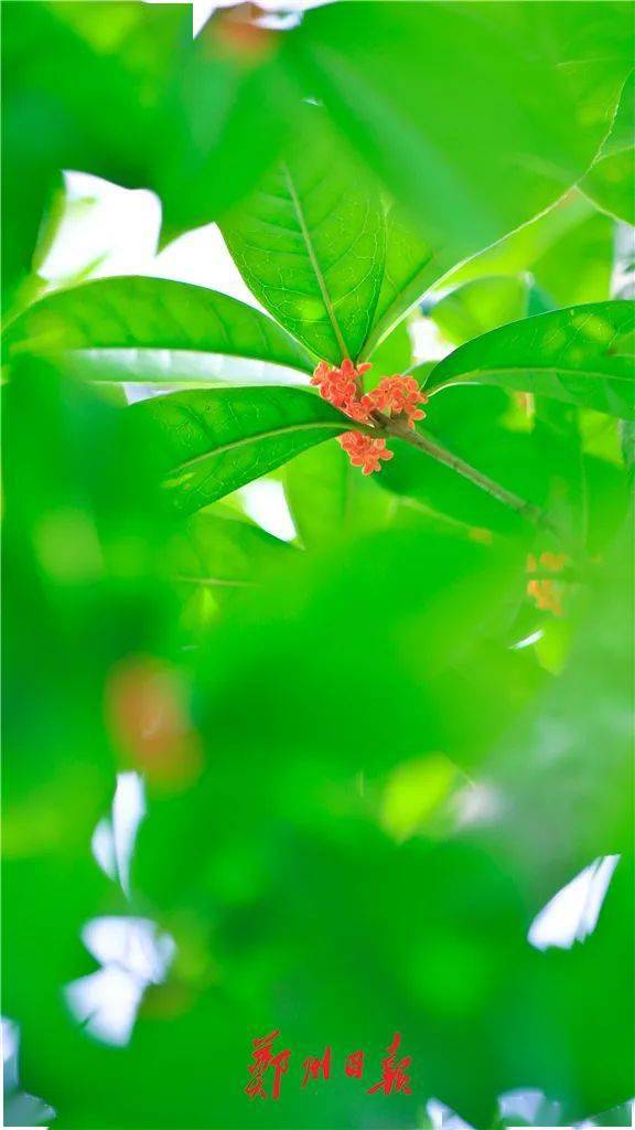 ecaa675a044c4b6eb6648e06f2dfc804.jpeg