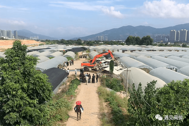 对竹岐乡辖区内涉及岸滩整治的苏洋,白龙等8个村岸滩存在"四乱"问题的