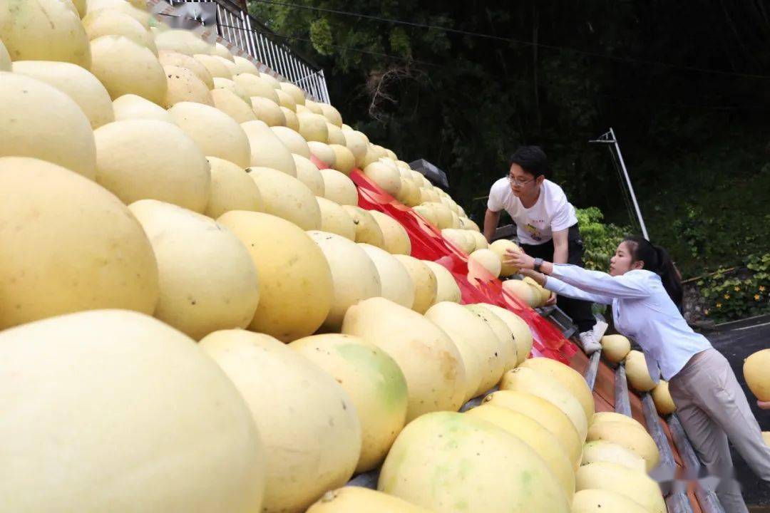 平果四塘镇图片