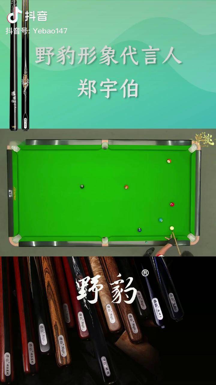 野豹形象代言人郑宇伯携野豹硬核球杆精彩表现台球中式台球是时候展现