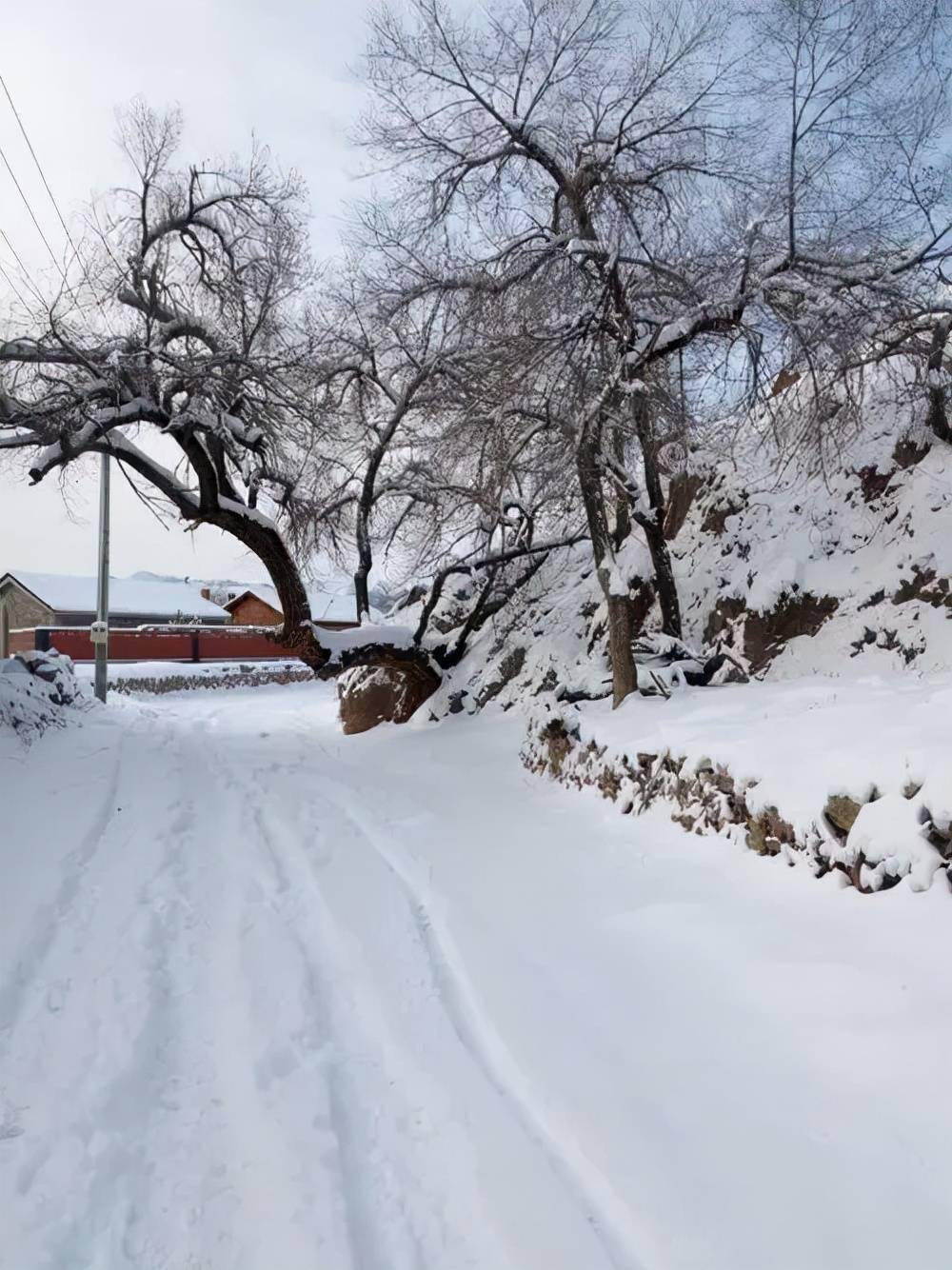 穷的雪上加霜的图片图片