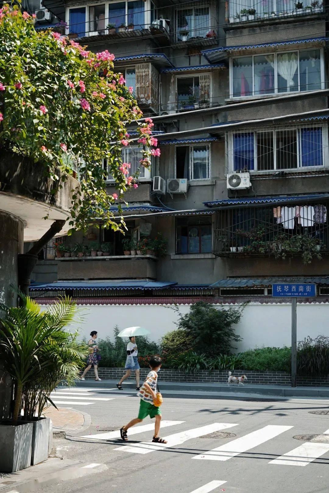 烟火|“发现成都之美·镜头里的公园城市”主题摄影月赛8月获奖作品揭晓，欢迎围观！