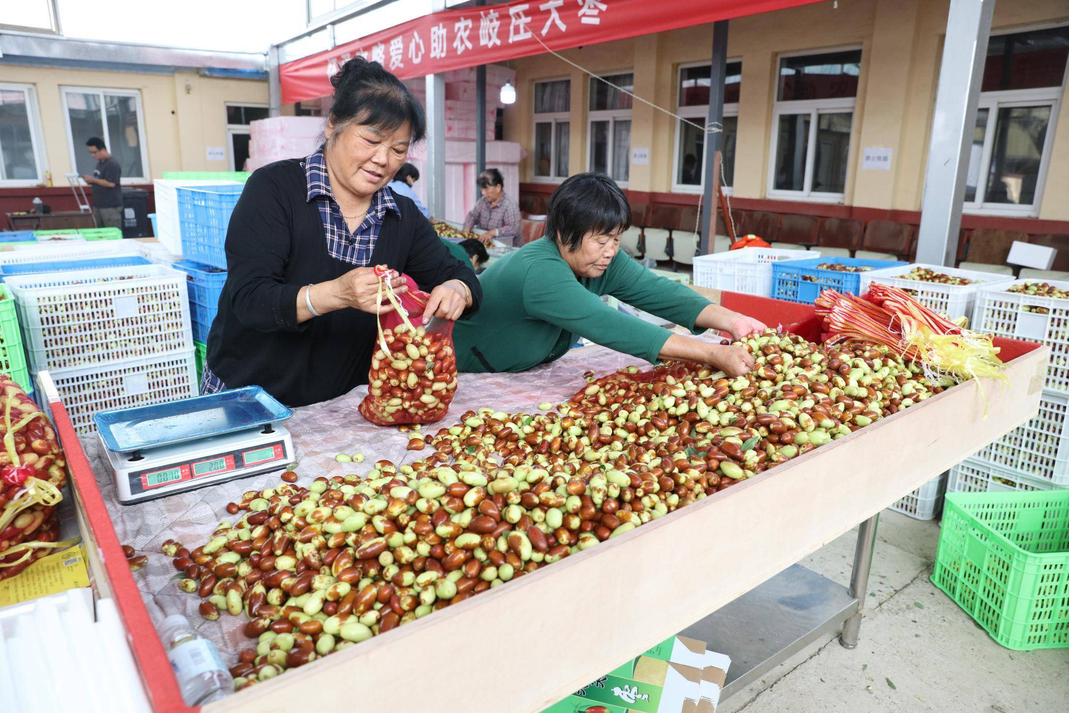 直播|历史上北京周边最盛产枣的风水宝地！如今一上直播成网红