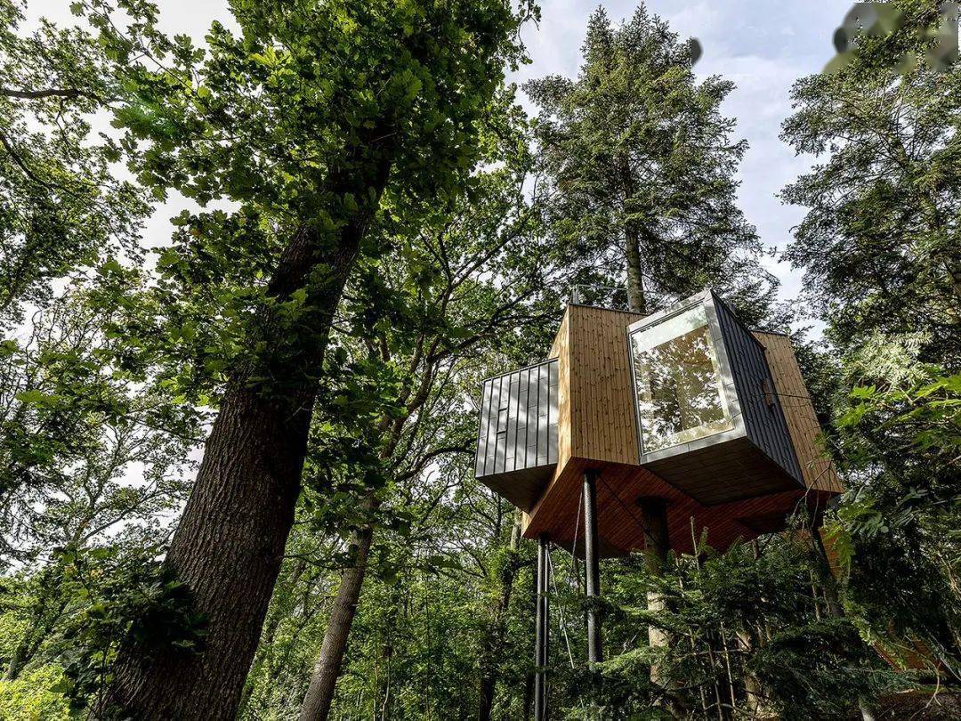 世界的好室住进丹麦森林树屋是种什么体验