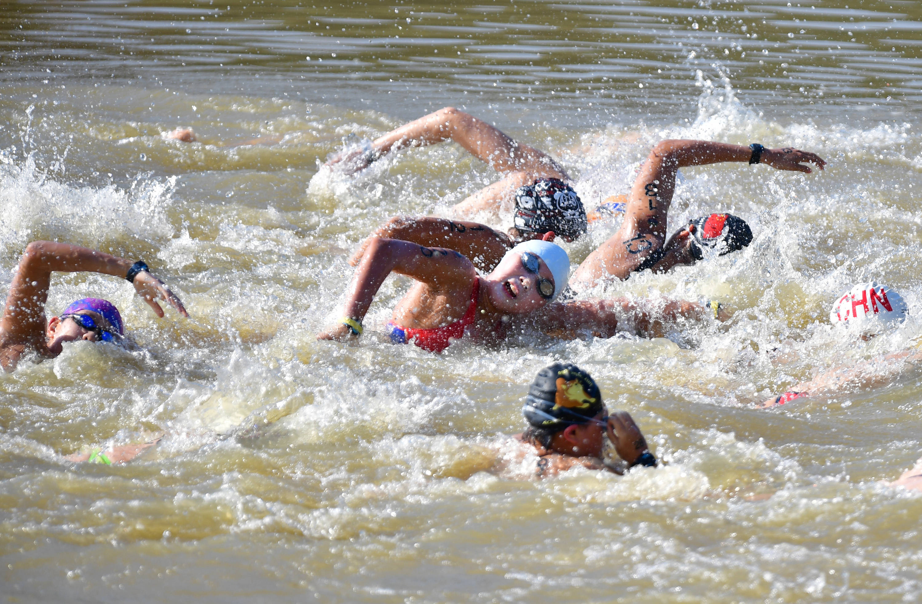 游泳——马拉松游泳女子10公里决赛赛况