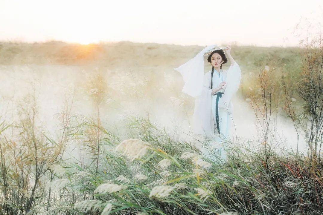 花间集白露蒹葭苍苍白露为霜丨文化沙龙