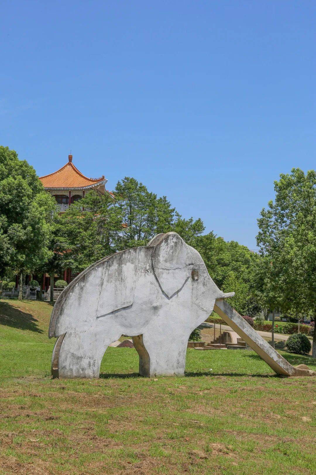周末去哪里白玉公园撒欢去