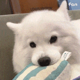 9f90dac8256f4a17a2f80d66f12b416c.gif
