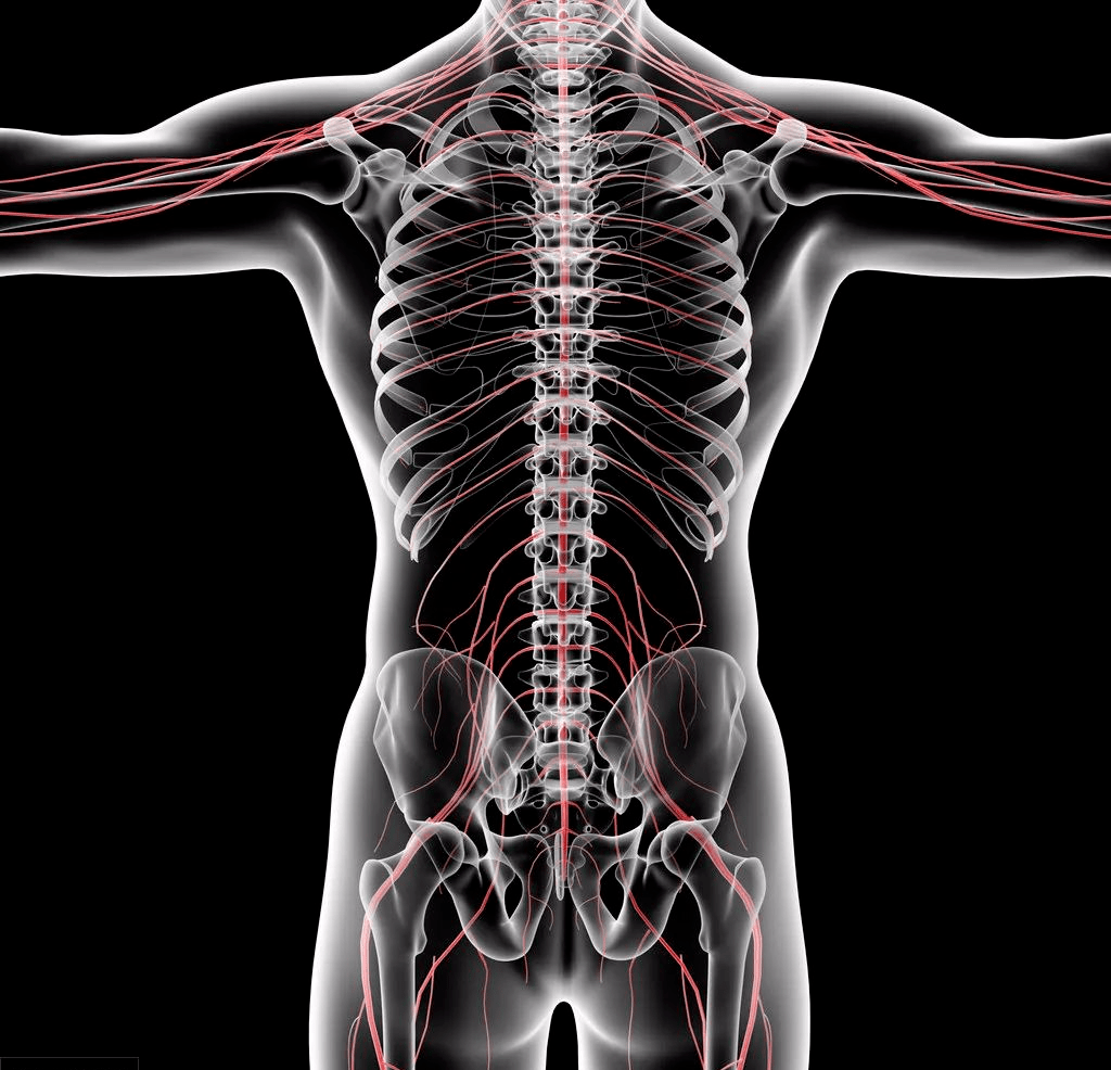 腰椎间盘突出怎么缓解 腰椎突出最快缓解方法