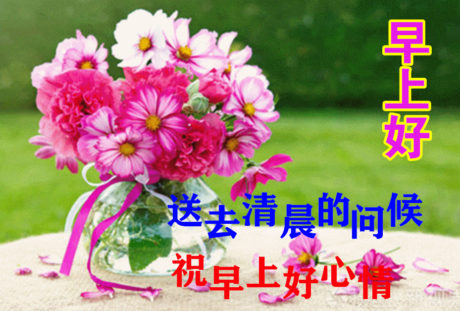 早上好动态表情图片大全早晨好动图美图大全