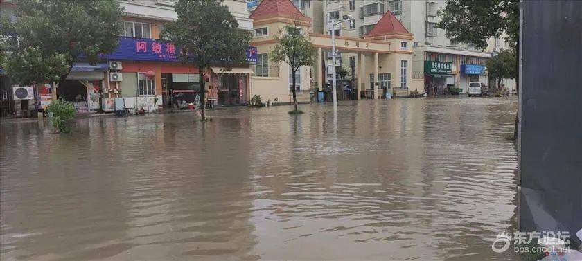 网友@李召宝 也在东论播报:洞桥明苑和王家桥村又泡在洪水里了