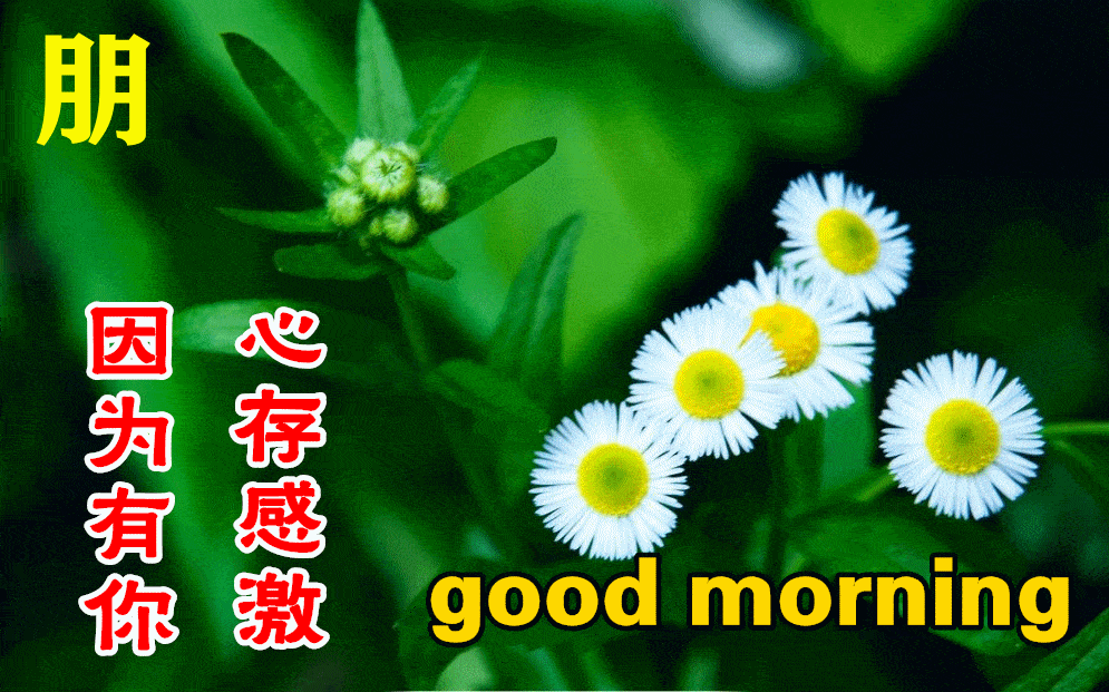 21312e19ddb74f338e6429585dbe7065.gif