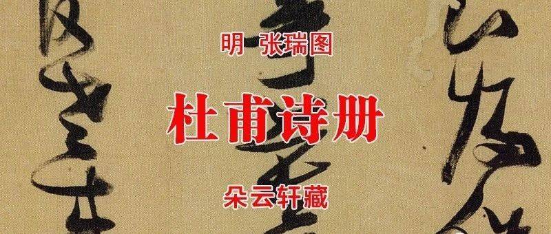 明 张瑞图 杜甫诗册 朵云轩藏_心经