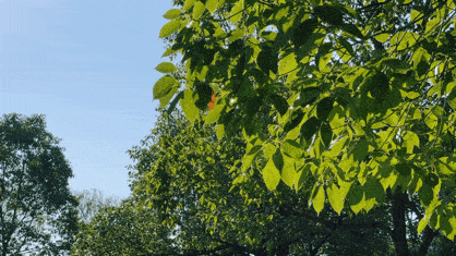 418_235gif 动态图 动图