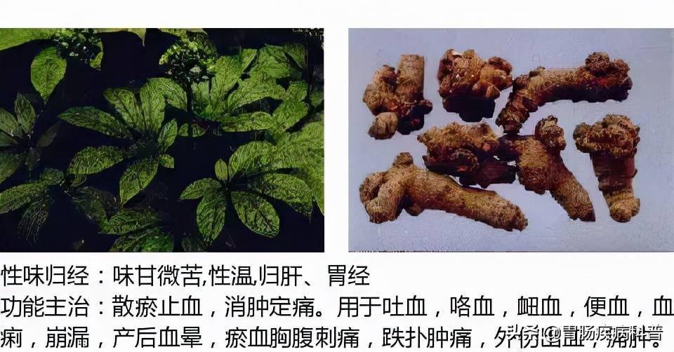 全网最全的中草药图谱图片性味归经主治功效还不收藏