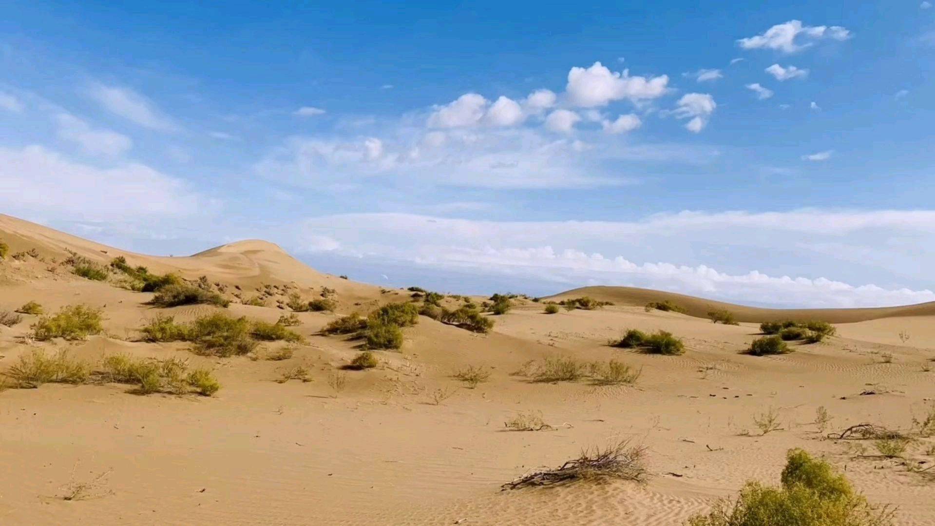 《2015丝绸之路挑战赛》敦煌风景：戈壁滩上的胡杨林_频道_凤凰网
