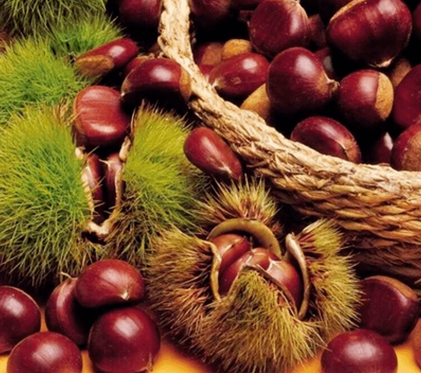 如何正确的打开板栗 7f0c5827dc7d41d8aa0adae33cb1a1f1.png