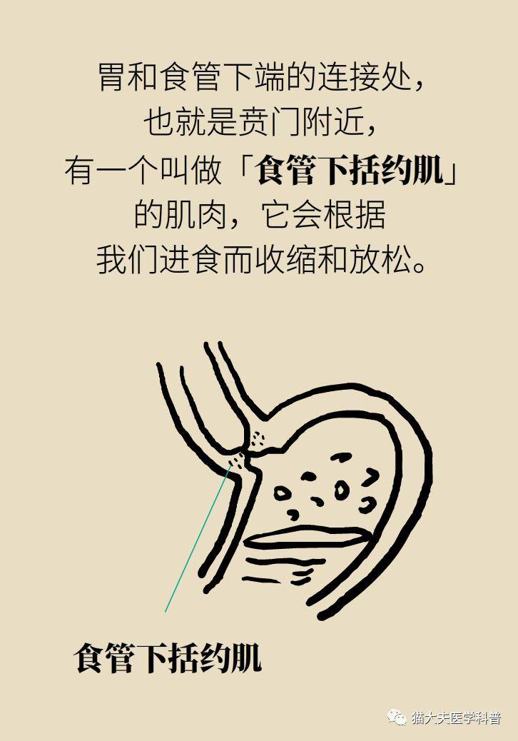 烧心|烧心烧得难受？6个方法可缓解