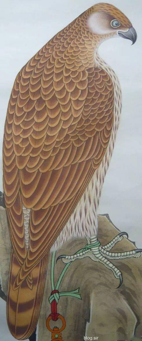 金雕全图资料来自互联网,工笔画商城整理,仅供学习,侵删!