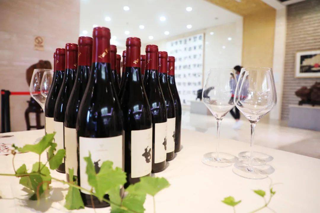 活动|葡韵悠远 回味绵长