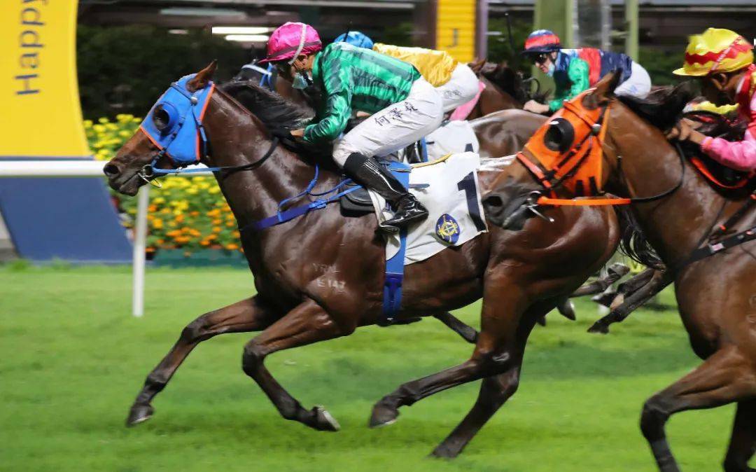 「虾饺烧卖」第8场:跑马地1200米是「鸿运飞鹰」的首本戏,八战获2冠2