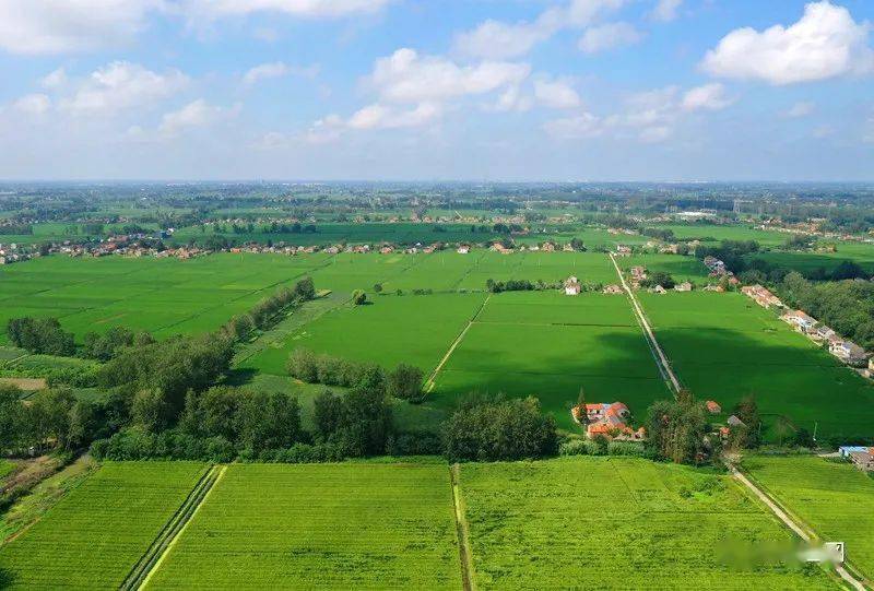 【航拍上冈】光华村,炎炎初秋,浓浓乡情_上冈镇