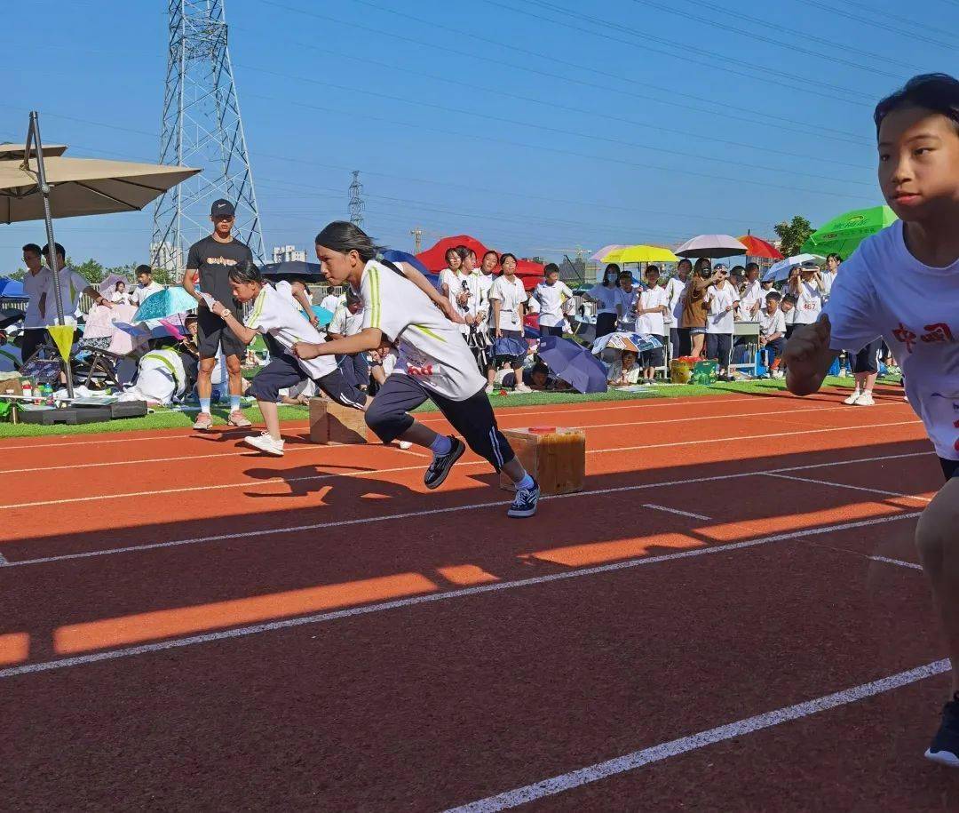 校园动态精彩时刻桐乡市现代实验学校第十五届运动会