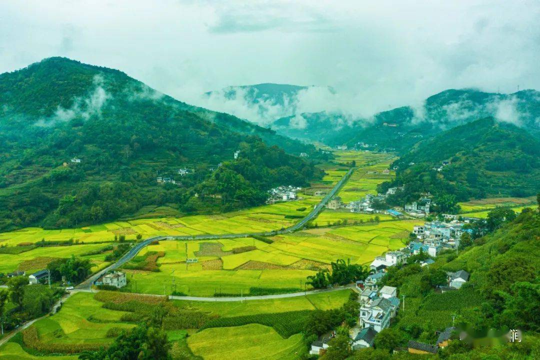 今秋唯有南涧县公郎镇三岔河稻田风光与你不可辜负