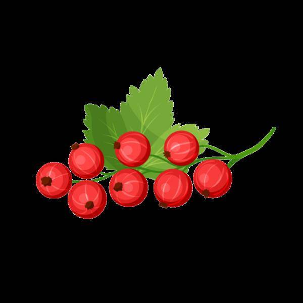 水果|痛风能吃的海鲜，糖尿病能吃的水果…大部分人都不知道！