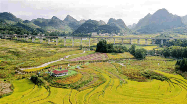 广西南丹：唱响农旅欢歌 舞动南国风情