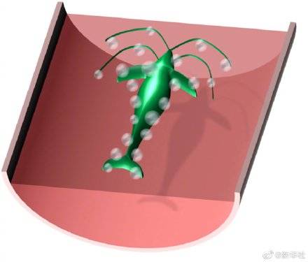 董雪|中国科学家用蜘蛛丝造出纳米机器人