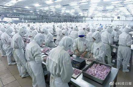 进行|揭秘：航天员的专属食谱这样做出来