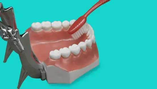 图片|5岁男孩突发急性肾炎，病根竟然是在口腔里