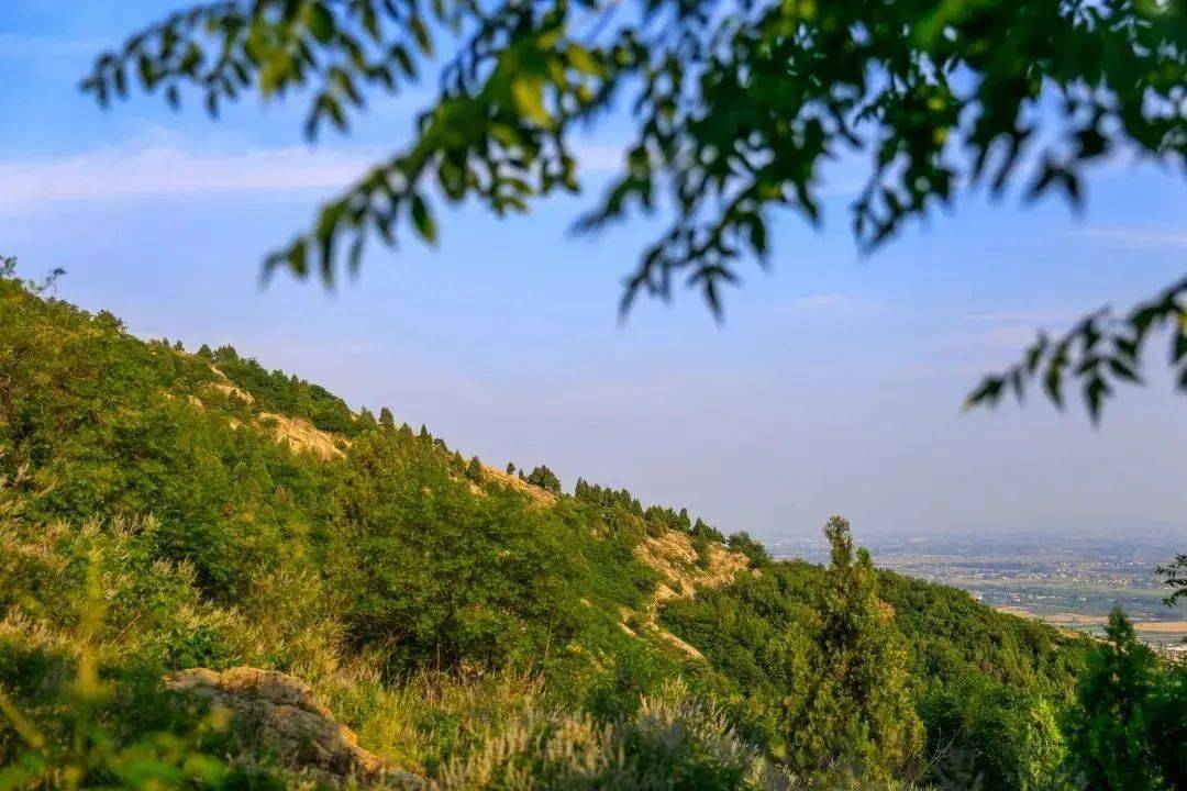 脑洞大开如果怀远景区也有朋友圈