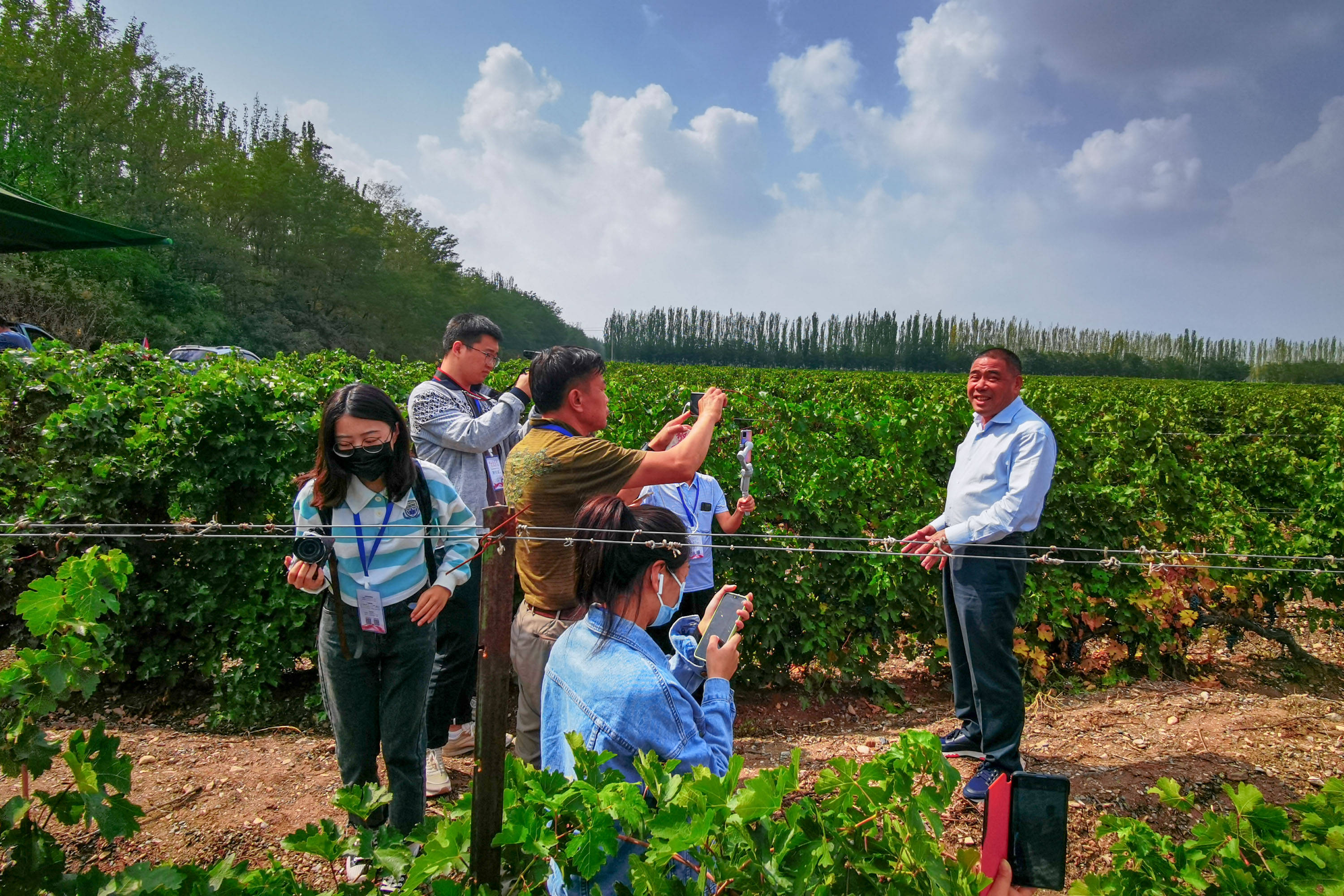 葡萄|全平台总曝光量1.6亿+ 网络媒体网络名人点赞宁夏葡萄酒产业