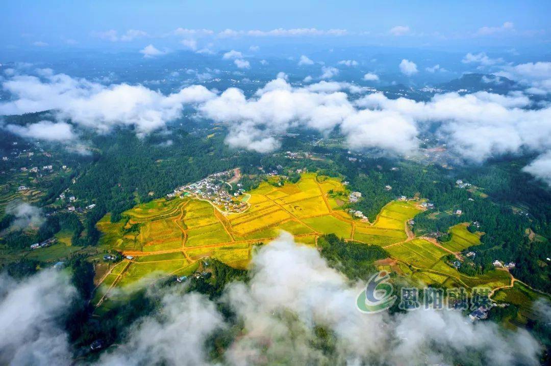 争取省级工业发展资金9424万元8月20日,恩阳区柳林镇海山村粮油基地高