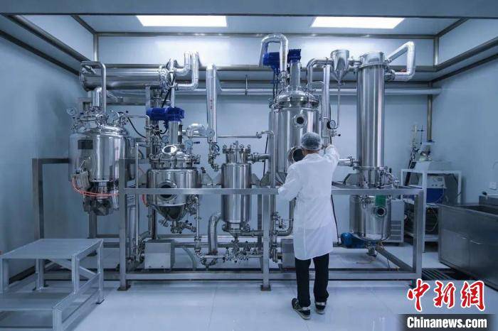 市场|浙江中医药老字号 如何走向下一个百年？