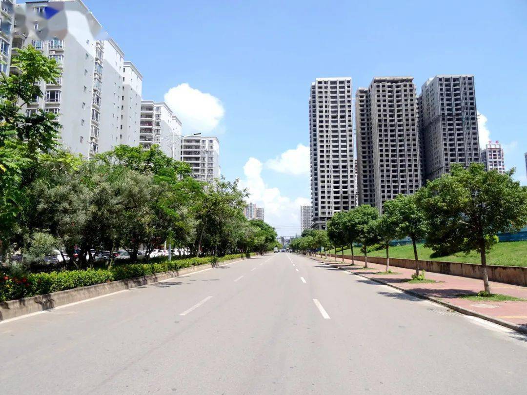 电白城区9月份主次干道,交通岗网络评选活动开始,等你来投票!